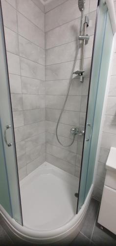 a shower with a glass door in a bathroom at AVA Apartment Istočno Sarajevo in Lukavica