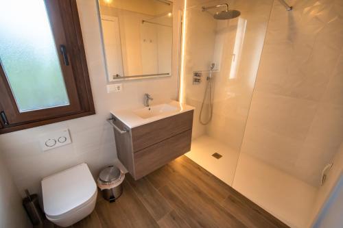 ein Bad mit einem WC, einem Waschbecken und einer Dusche in der Unterkunft Chalten Apartamento in Beceite