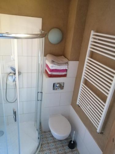 a small bathroom with a shower and a toilet at Ferienhaus Caselow 23A in Bergholz