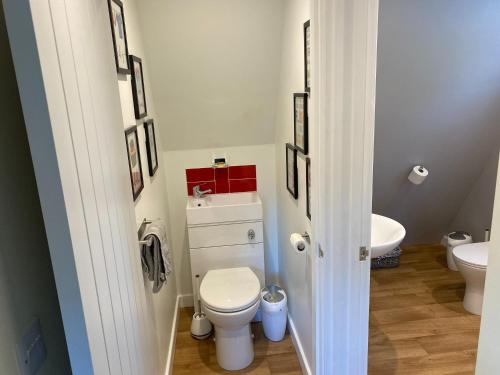 a bathroom with a toilet and a sink at Widgeon Bespoke Cabin is lakeside with Private fishing peg, hot tub situated at Tattershall Lakes Country Park in Tattershall