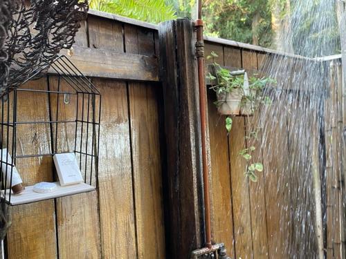 a wooden fence with a door with a plant on it at The Bliss Boutique in Louis Trichardt