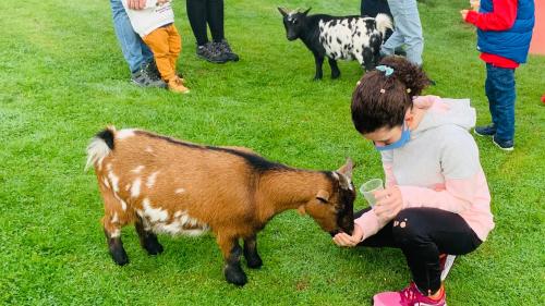 a young girl is petting a brown and white goat at Apartamentos La Quintana de Romillo in Romillo