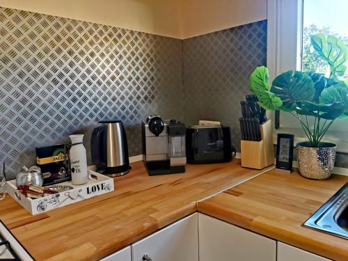 a kitchen with a counter top with appliances on it at Tiny House Mehring in Mehring