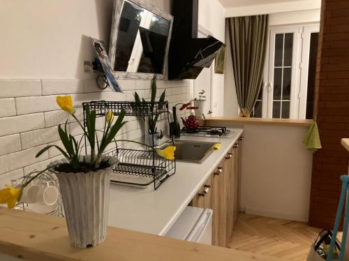 a kitchen with a counter with a vase on it at The nature in Sighnaghi