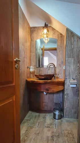 a bathroom with a sink and a mirror at Pensiunea Annalisa in Corbeni