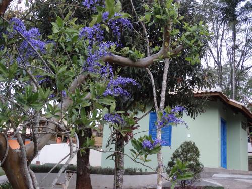 a tree with purple flowers in front of a house at Pousada Cheiro da Terra in Cunha