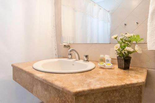 a bathroom counter with a sink and a mirror at Victoria Village in Carilo