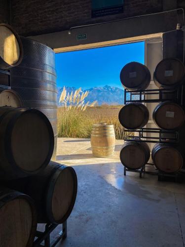 a room with barrels and a view of a mountain at Casa de Huéspedes Bodega Gimenez Riili in Los Sauces