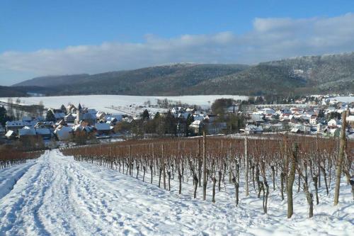 Gîte HAURY durante o inverno