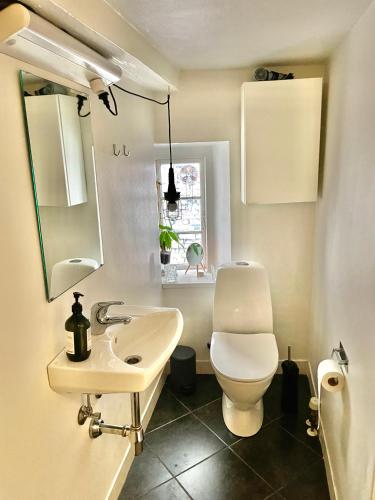 a bathroom with a toilet and a sink at A Charming and Beautiful Oasis in the Heart of Copenhagen in Copenhagen