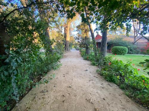 a dirt path with trees and a house in the background at The White House by Casona Lo Aguirre - El Monte RM in Talagante