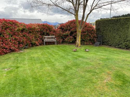 a park bench sitting in the grass in a yard at 1 - Delightfully fresh, private home close to town in Wanaka