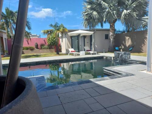 a swimming pool with palm trees and a house at CALME ET SERENITE A LA RIVIERE in Saint-Louis