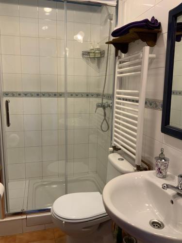 een badkamer met een douche, een toilet en een wastafel bij La Casuca in Escalante