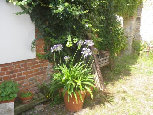 a garden with flowers in pots next to a brick wall at Drahtesel Oase in Pömmelte
