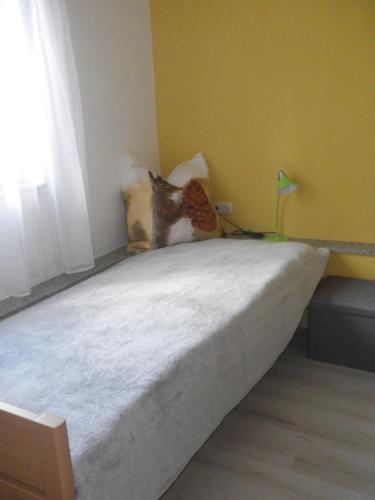 two cats sitting on a bed in a room at Drahtesel Oase in Pömmelte