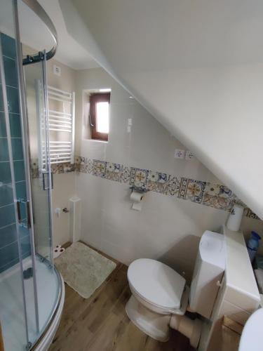 ボニャルツバシュにあるBertalan Apartmanのトイレとシャワー付きの白いバスルーム