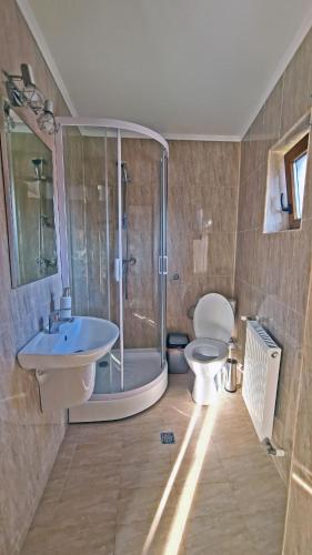 a bathroom with a toilet and a sink and a shower at Pensiunea Dorul de Munte nr 222 in Rucăr