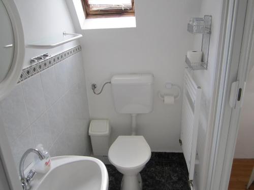 ein kleines Bad mit WC und Waschbecken in der Unterkunft Kántor Vendégház in Zalaegerszeg