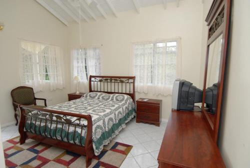 sypialnia z łóżkiem, telewizorem i lustrem w obiekcie Zamaca' Bed and Breakfast w mieście Micoud