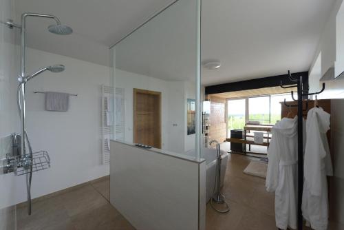 a bathroom with a shower and a glass wall at Nikolaier Weinblick - Chalet Sauvignon Blanc in Sankt Nikolai ob Draßling