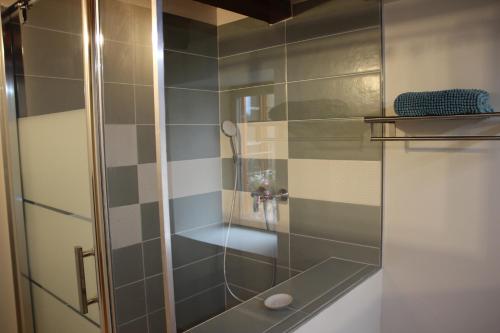 a shower with a glass door in a bathroom at Gîte du moulin in Chénelette