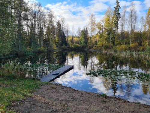 a placid pond with a bench in the middle at Tosthult Holiday in Lönsboda