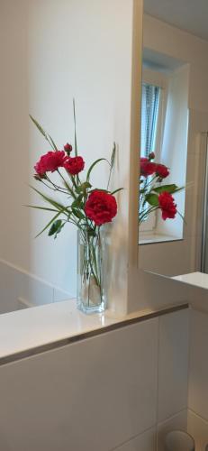 un vase de fleurs rouges assis sur un comptoir dans un miroir dans l'établissement Apartmán U Zastávky, à Ratíškovice