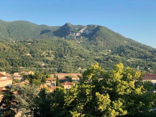 a view of a mountain with trees and houses at Les Horizons - SPA-JACUZZI - MASSAGE- SAUNA - 4 SAISONS - Piscine chauffée Toute l'année - 800m centre ville Nyons in Nyons