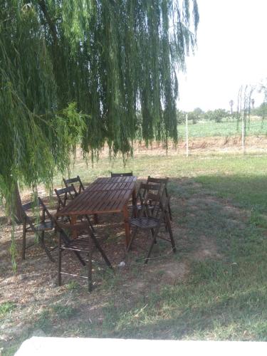 a picnic table and benches under a tree at Abaton - Casa vacanza in Metaponto