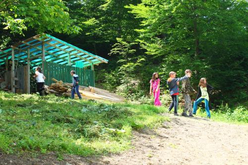 a group of children standing on a dirt road at Pensiunea Alpina in Malaia