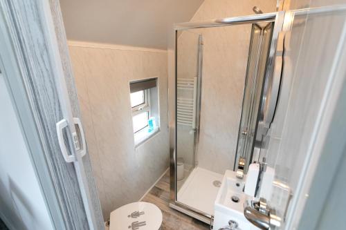 a bathroom with a shower and a toilet and a sink at BED AT BOWBRIDGE, Centre town in Newark-on-Trent