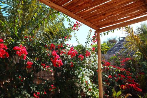 a garden with red flowers and a wooden pergola at Kijani Beach Villas in Bwejuu