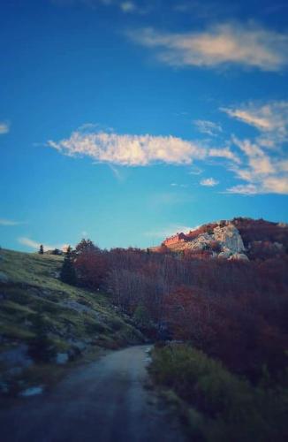 Fotografie z fotogalerie ubytování Guest House Perla v destinaci Sveti Juraj