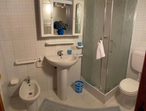 圣特奥多罗villino D5 coda cavallo villaggio cala paradiso的带水槽、马桶和淋浴的浴室