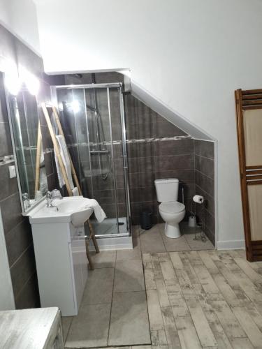 a bathroom with a toilet and a shower and a sink at Hotel Café de la Gare in Sainte-Foy-la-Grande