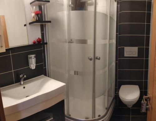 a bathroom with a shower and a sink and a toilet at family villas sapanca in Sapanca