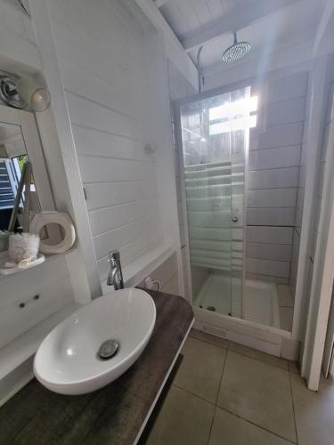 uma casa de banho com um lavatório e um chuveiro em Ti Pècheur em Sainte-Luce