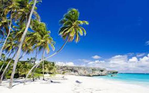  The Gem is located a few minutes walk to the gorgeous Bottom Bay Beach -  Room  picture :   TV    Hairdryer    Refrigerator                           