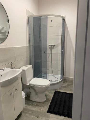 a bathroom with a shower and a toilet and a sink at Hanuszówka pokoje gościnne z łazienkami in Nysa