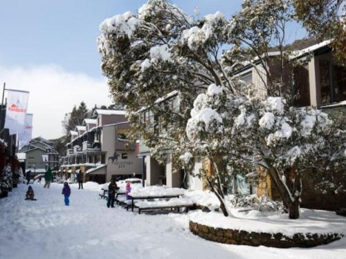 eine schneebedeckte Straße mit einem Baum und Gebäuden in der Unterkunft Squatters Run 12 in Thredbo