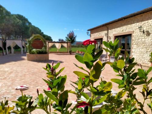 Taman di luar Il Pianaccio