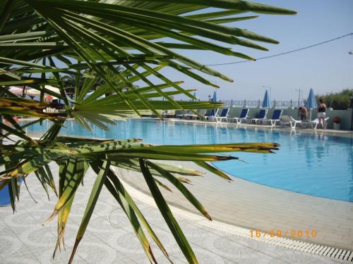 a palm tree in front of a swimming pool at Ninos On The Beach Hotel in Roda
