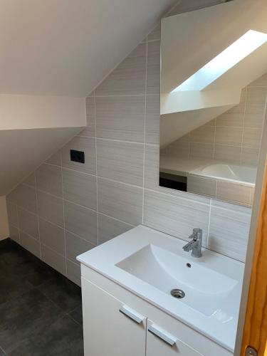 een badkamer met een wastafel en een spiegel bij Appartement 14 couchages vallée du Grésivaudan in La Buissière