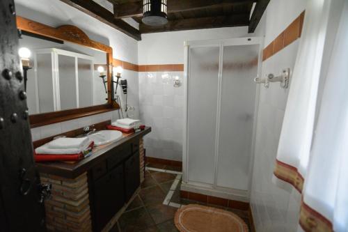 y baño con lavabo y ducha con espejo. en Tu Villa Rural Almendro 3 Dormitorios, en Alhaurín el Grande