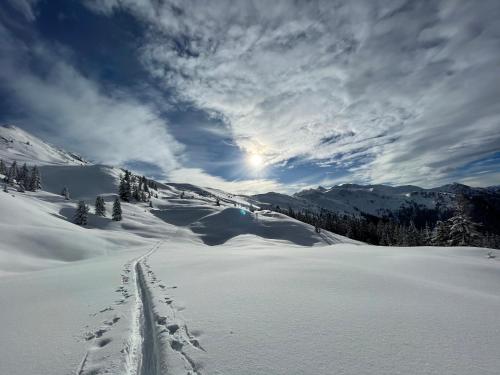 Chalet Irmi Hart im Zillertal im Winter