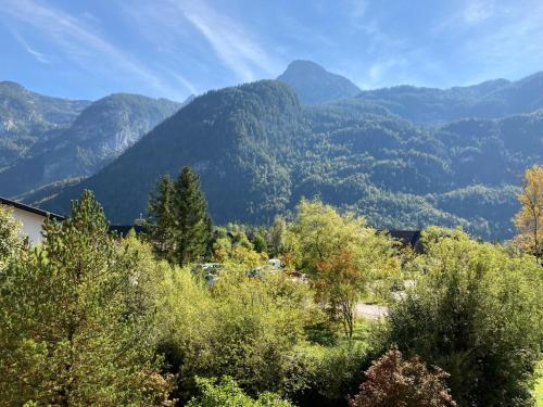 a view of a valley with mountains in the background at Seehotel am Hallstättersee modern rooms in Obertraun