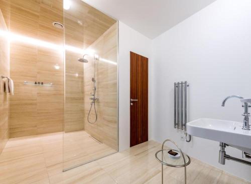 
a bathroom with a shower, sink, and mirror at Apartmánový dům U Tomana in Brno
