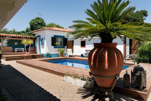 a large plant in a large vase next to a pool at Casa da Mata SurfHouse in Costa da Caparica