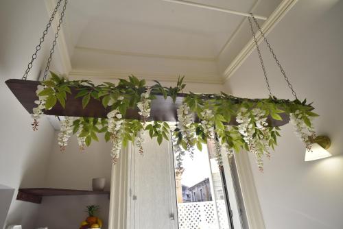 Home dentro il teatro photo 182